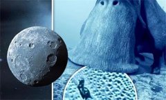 冥王星“生物” 形状似蜗牛 科学家给答案（巨型生命）