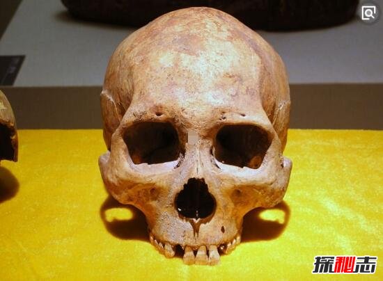 內蒙古扎賚諾爾人之謎，考古驚現萬年前原始黃種人(赤峰古人類遺址)