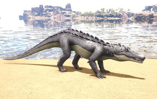 而在鳄鱼群体中,远古时代的帝鳄一直被认为是最强大的鳄鱼,它长达13米