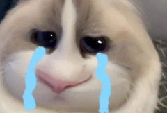 ϰűqʲô˼군˵˼(й)