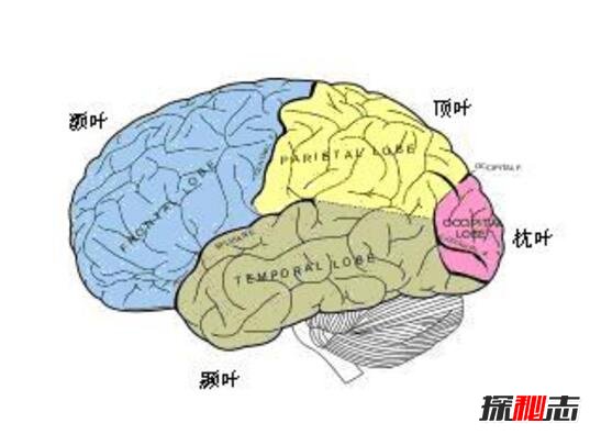 康斯塔姆现象图片