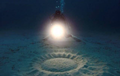 神秘的海底世界中竟然也出现了麦田怪圈 究竟是怎么回事