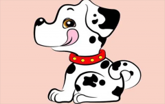 不喜欢交际的生肖 什么生肖有自己的精神世界（狗猪蛇）