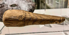 可能是最古老的性玩具：2000年历史的罗马阴茎发现