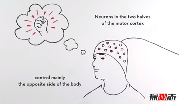 最新的科学技术有哪些?科学技术的十大突破(令人兴奋)(图10)