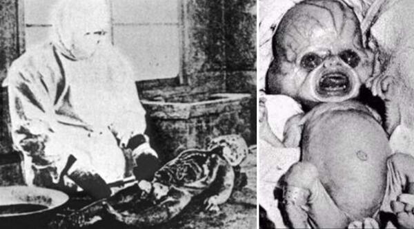 731婴儿实验图片