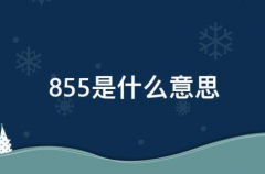 855ʲô˼˫(Ͷ涨)