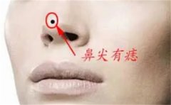 Ǽⳤ˺ 룩