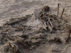 埃及发现千年古墓 孩子和狗埋在一起（宗教仪式）