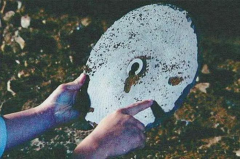 新墨西哥州发现金属碎片  是外星人UFO碎片吗  （中国汉字）