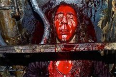ֲĹ 15˴سɹ(McKamey Manor)