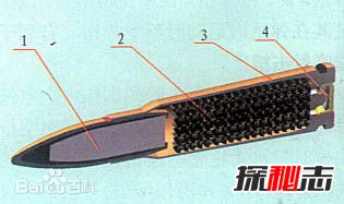 最凶残的子弹排行榜,达姆弹威力惊人,被称邪恶化身(禁用)(图5)