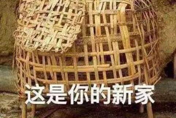 我可以鸡笼表情包图片