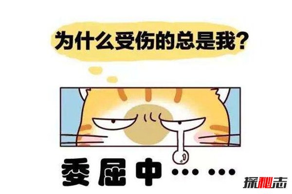 踢猫效应如何避免?坏情绪产生的连锁反应有多可怕(图3)