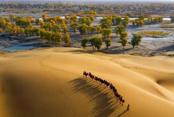 中国最大沙漠图片图片
