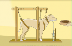 巴甫洛夫的狗实验说明了什么：条件反射(著名心理学实验)