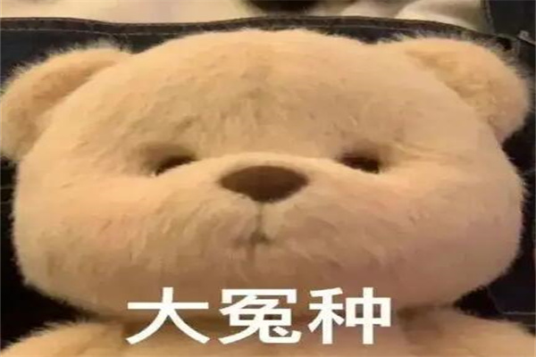 ԩʲô˼?Ǹԩͷ(ЩЦ)