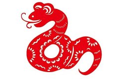 1929年属蛇人永远最旺的颜色：红色(能改善消极情绪)