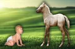 ΪʲôţߣȴУ