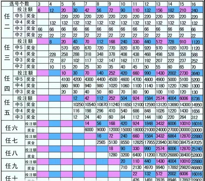 复式表格图片大全图片