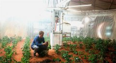 《火星救援》中马特达蒙在火星种出土豆 现实火星上能种出植物吗