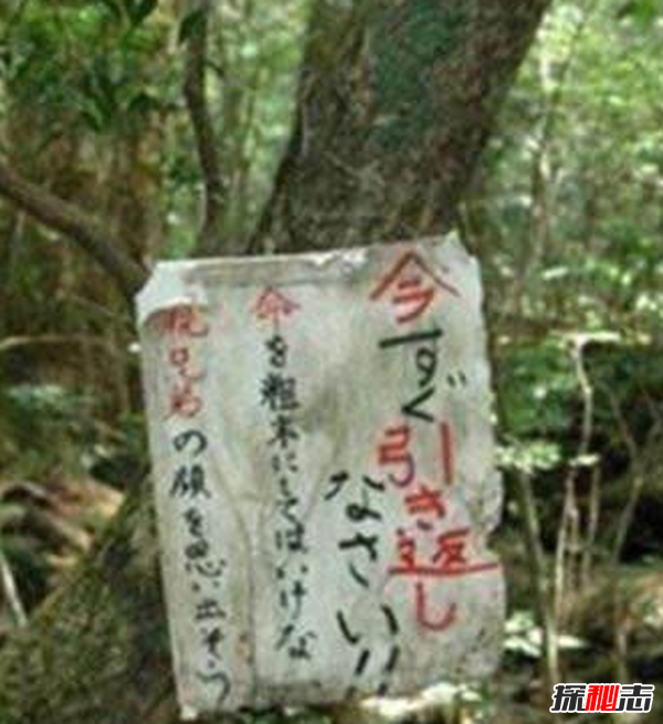 日本十大灵异事件 自杀圣地每年百具尸体 五寸钉诅咒 探秘志