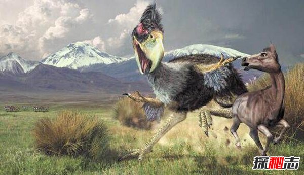 十大史前巨型动物，揭秘史前最大的动物第一名