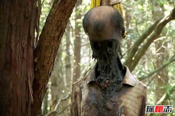世界十大恐怖地方,日本自殺森林讓你偶遇“吊死鬼”