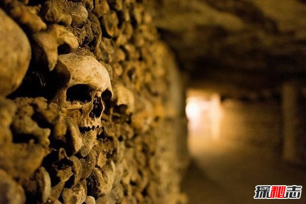 世界十大恐怖地方,日本自殺森林讓你偶遇“吊死鬼”