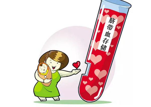 脐带血有必要保存吗?存脐带血需要多少钱(2万左右)(图1)