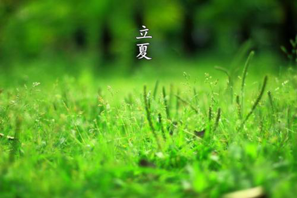 谷雨的下一个节气是什么?夏季第一个节气(立夏)(图1)