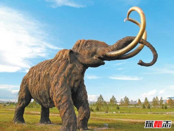 巨犀vs猛犸象谁厉害,巨犀的冲撞力更凶猛