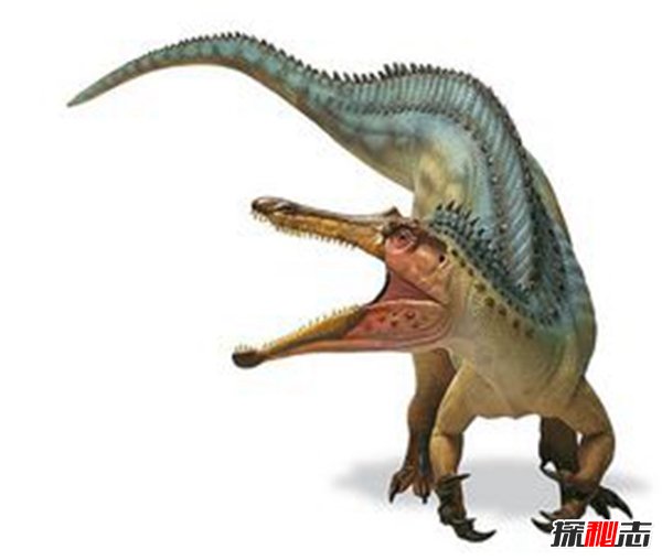十大最聪明的恐龙,伤齿龙聪明到可以进化成人