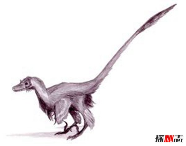 十大最聪明的恐龙,伤齿龙聪明到可以进化成人