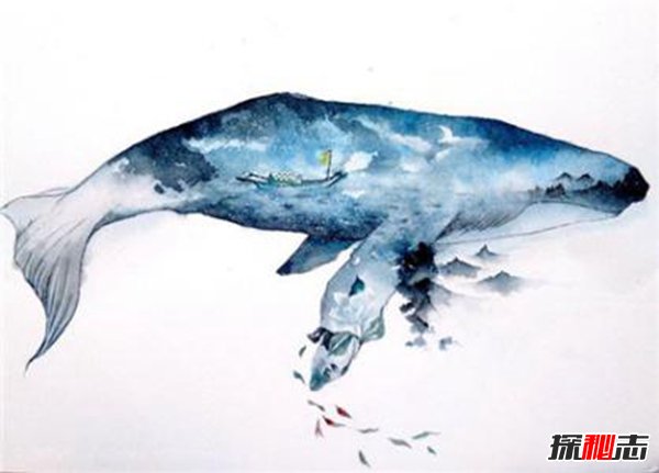 鲲鹏为什么吃龙 鲲鹏原型渤海海鲸（网友杜撰）