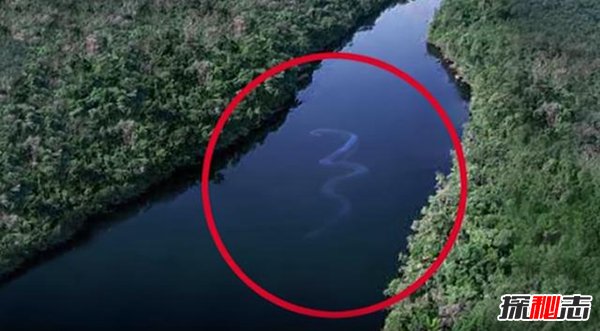 看世界上最长的大蛇 !卫星拍到世界上最大蛇（假图）