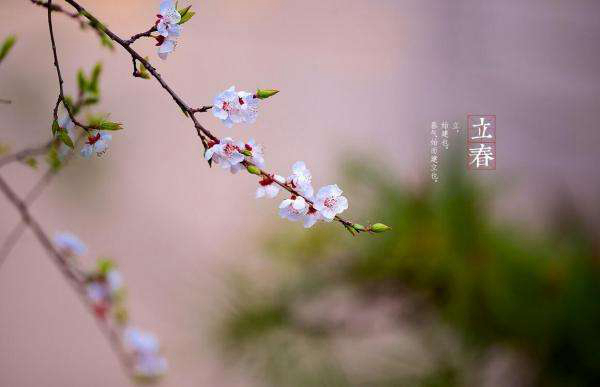 立春是什么意思?立春有哪些重要特点(倒春寒)(图8)