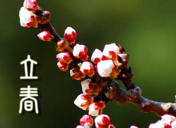 立春是什么意思?立春有哪些重要特点(倒春寒)(图6)