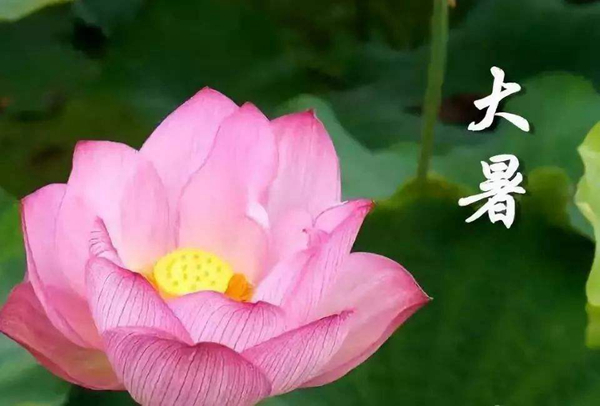 大暑是什么意思?一年最炎热的时节(避免中暑)(图5)