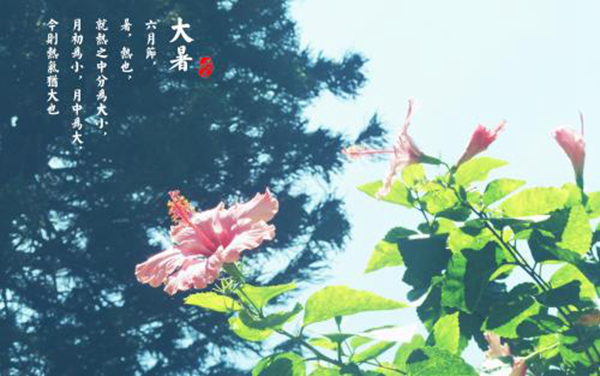大暑是什么意思?一年最炎热的时节(避免中暑)(图6)