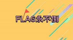 flagʲô˼?flag¾(ź)