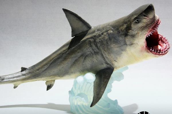 10大古代鲨鱼图片图片