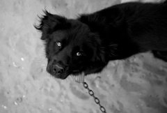а취ΪʲôúڹѪа 