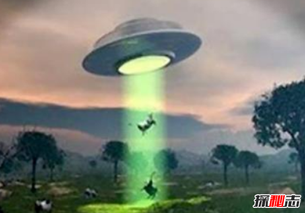 Ķ!ufo¼̵,ufoõʵ¼֤