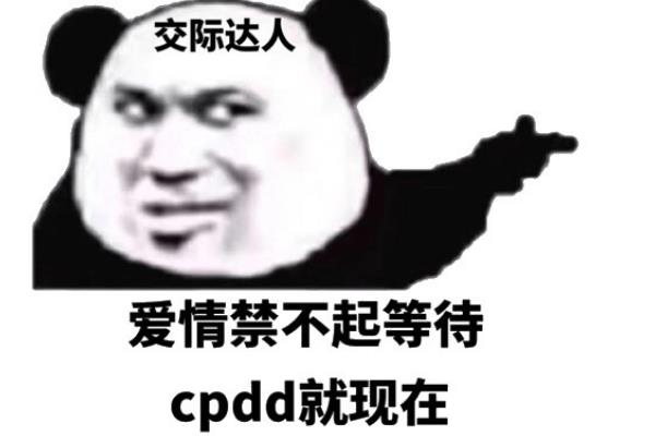 cpdd图片表情包图片