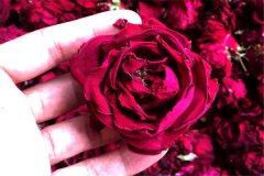 玫瑰花干花制作方法：微波炉高温烘干（制作干花的用处）