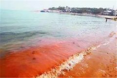 赤潮发生时海水都是红色的吗：没有固定颜色（微生物导致）