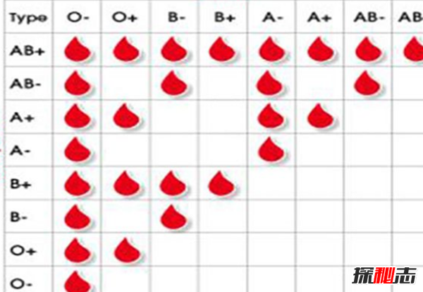 哪种血型最好?关于血型的18大真实信息