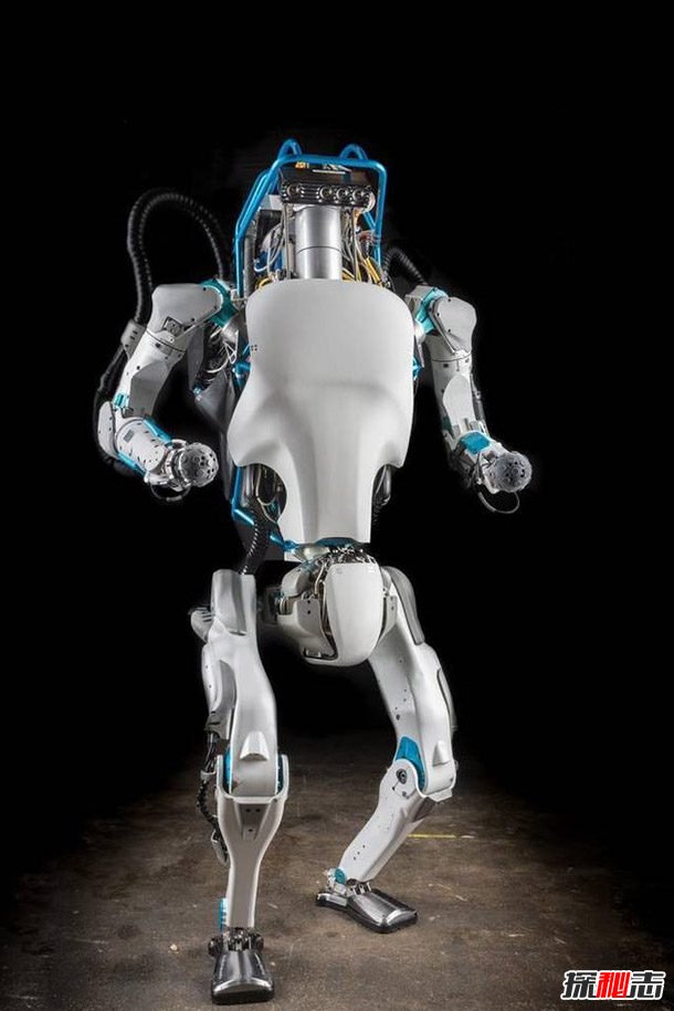 机器人有什么用?关于未来机器人的十大功能