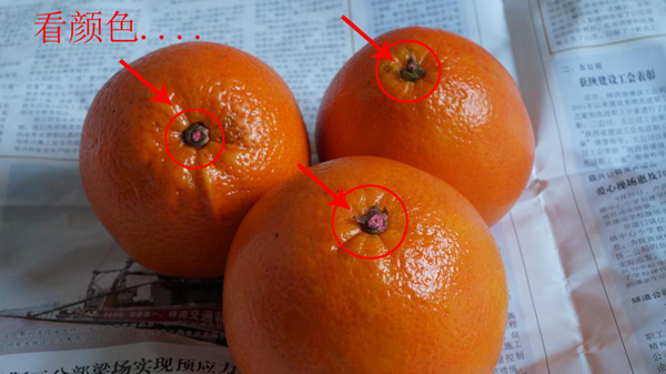怎么看橙子有没有打蜡?打蜡的橙子对人体有害吗(图1)